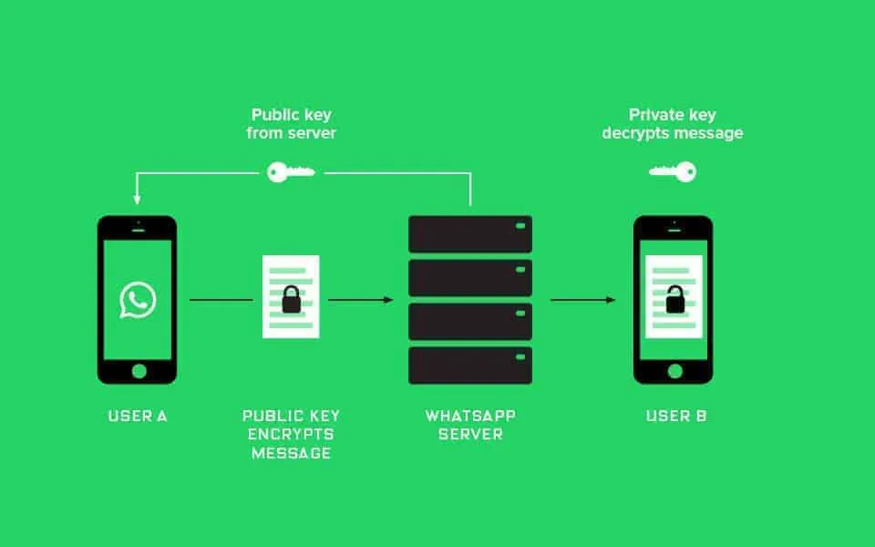 Qu’est-ce qui change avec l’API de WhatsApp Business?