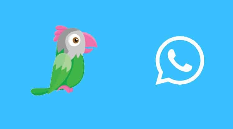 È possibile integrare WhatsApp a Tawk.to?