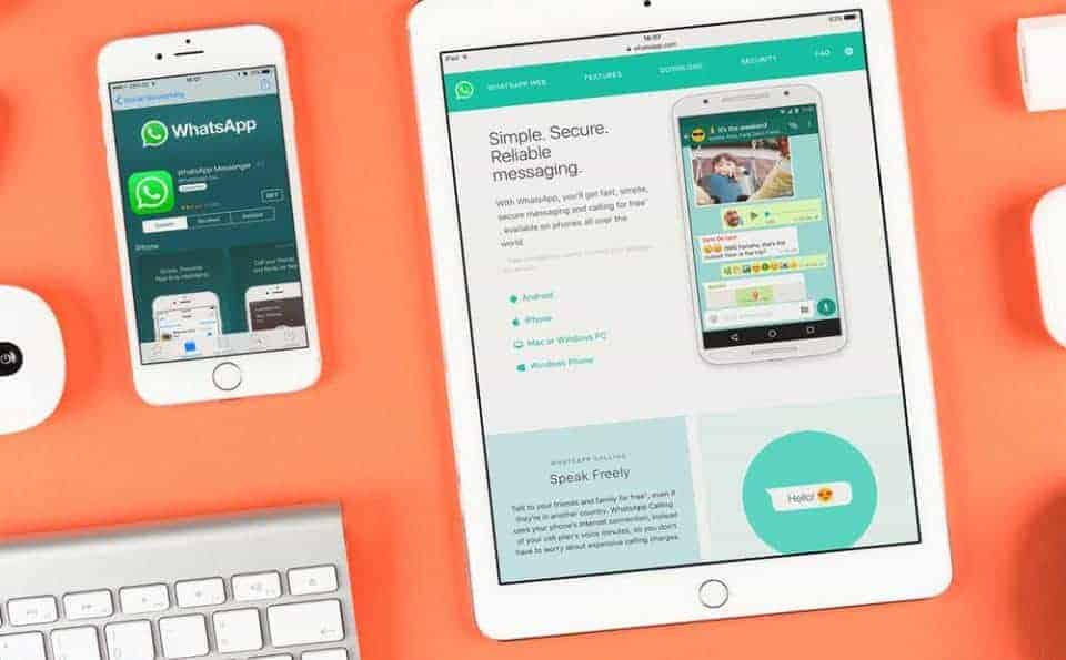 WhatsApp Business multi-device: sera une solution pour les entreprises?