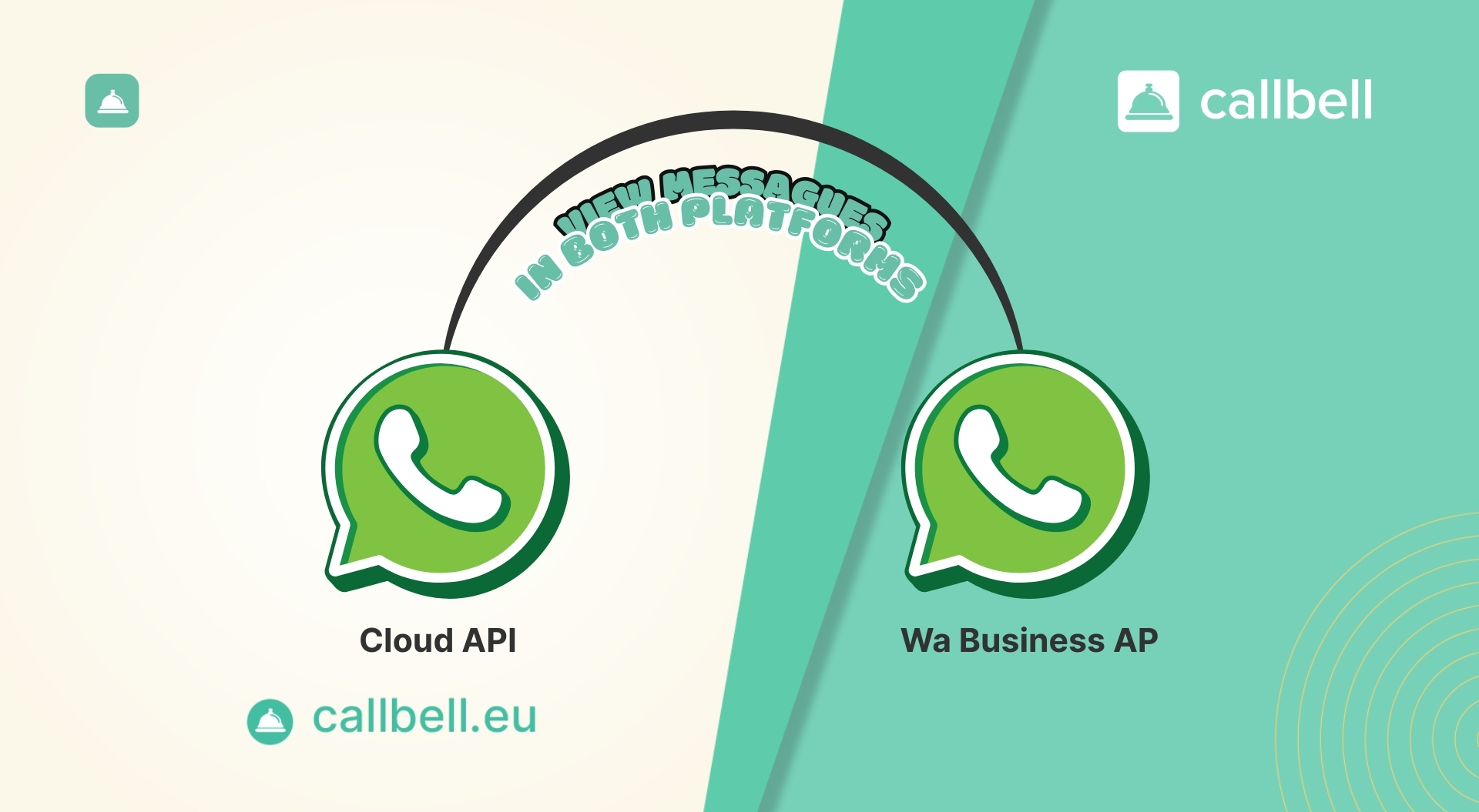 How to connect WhatsApp Business with Callbell using Coexistence
