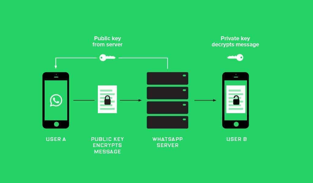 Cosa cambia con l’arrivo delle API di WhatsApp Business