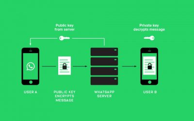 Qu’est-ce qui change avec l’API de WhatsApp Business?