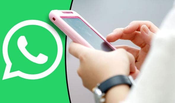 best free plugins to install WhatsApp on your website