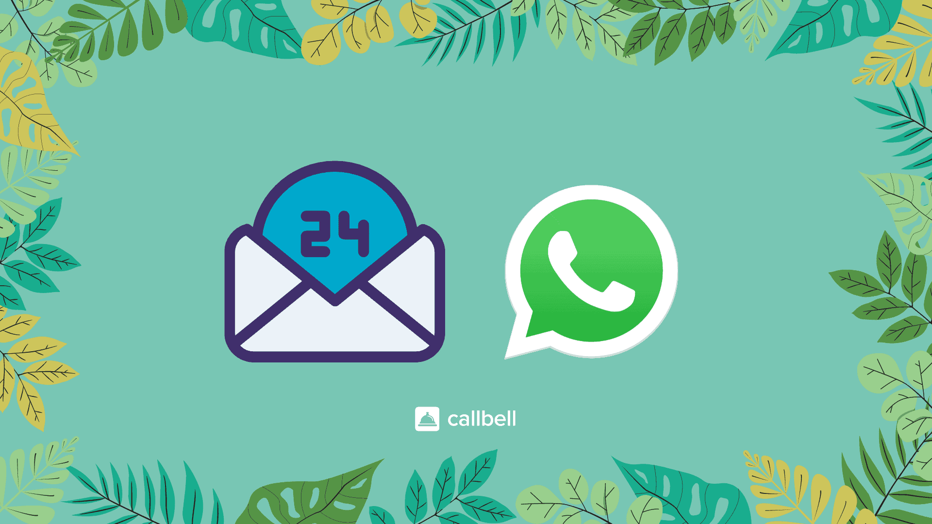 How do temporary messages on WhatsApp work? | Callbell