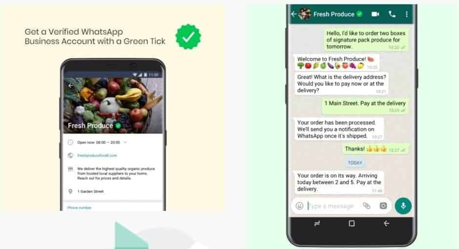 WhatsApp API: everything you need to know
