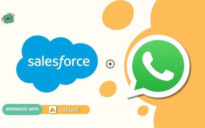 How to connect WhatsApp to Salesforce | Callbell