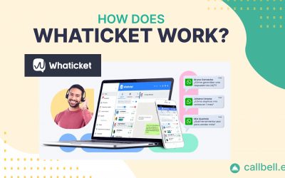 Come funziona Whaticket?