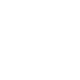 Auronix